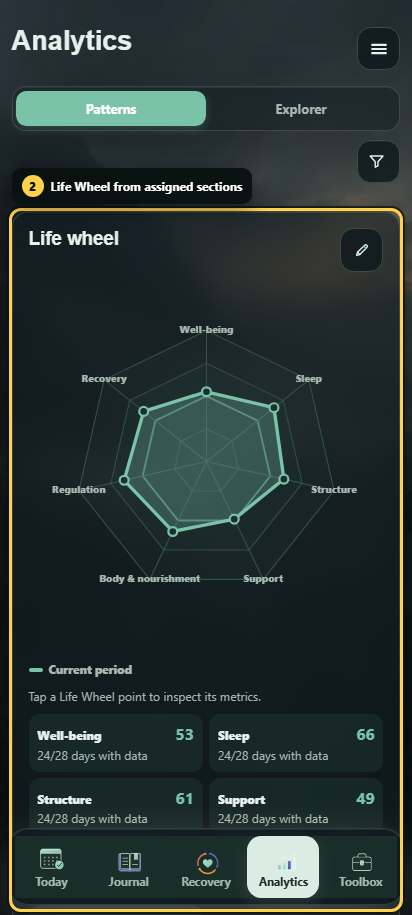 Annotated Patterns view with time range and Life Wheel